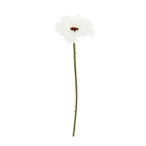 Fleur artificielle daisy africaine en soie blanche, branche unique, pour décoration intérieure, arrangement floral, accessoire de photographie - Product Image 5