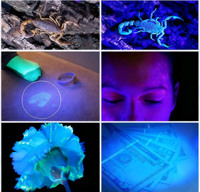 Linterna UV Portátil de Alta Potencia de 30W, 395nm/365nm, Linterna UV de Aluminio para Detectar Manchas de Mascotas, Escorpiones, Minerales y Dinero