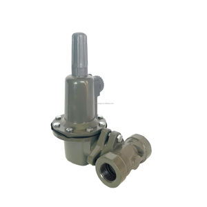 Regolatore di Pressione per Bombole GPL, Regolatore di Gas Industriale - Product Image 1
