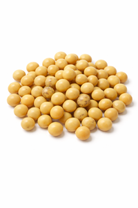 TW Glycine Soja PDRN Complejo Nutritivo Premium Derivado de Plantas para Materia Prima Cosmética, Reparación de la Piel y Cuidado Hidratante - Product Image 2