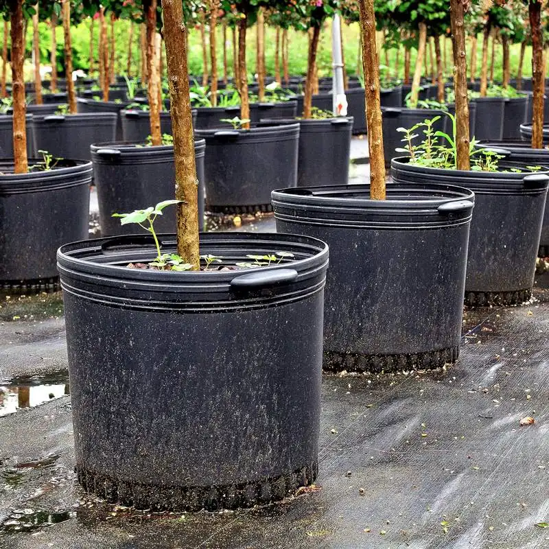 Bulk Cheap 2" 4" 6" 3 7 9 Gallons 10 Cm Tall Seeding Black Plastic Planter Nursery Pots For Nursery Plants