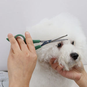 Tijeras Profesionales de Seguridad con Punta Redondeada para el Cuidado de Mascotas, <span class=keywords><strong>Perros</strong></span> y Gatos, Recortador de Pelo Facial de Acero Inoxidable para Patas y Orejas, Equipo para el Hogar - Product Image 4