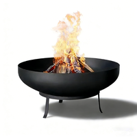 Barbecue et camping en plein air avec foyers à bois