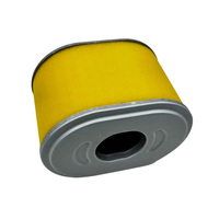 Filtre à air de remplacement filtres HEPA adaptés aux moteurs Hondas GX160 GX200 Remplacer 17210-ZE1-517 17210-ZE1-822 17210-ZE1-505