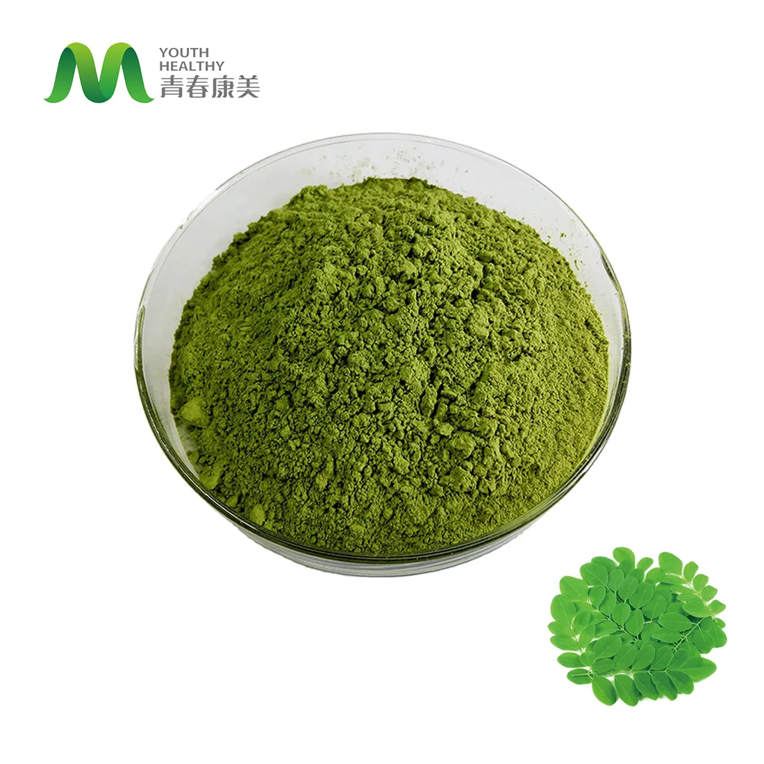 Wholesale Super Food Leaf Powder Organic Moringa Leaf Powder For Herbal Medicine