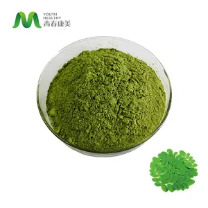 Polvere organica all'ingrosso della foglia di Moringa della polvere eccellente della foglia dell'alimento per la medicina di erbe