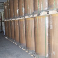 Papier thermique vierge imprimé clair de qualité supérieure, prix d'usine, rouleau jumbo 45/48/55/65 g/m²