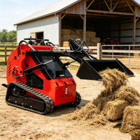 Mini-chargeuse agricole diesel sur chenilles articulée, chargeuse compacte à direction par déplacement avec haute performance et qualité