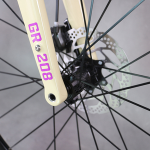 Bicicleta Completa <span class=keywords><strong>Tantan</strong></span> con Cuadro de Carbono, Bicicleta de Gravel con Frenos de Disco, Cuadro WheelTop, Grupo GEX 1*13, Ruedas de Aluminio GR208 - Product Image 2