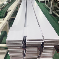 Placas de Techo de PVC Duraderas de 250 mm x 8 mm, Antimoho, Resistentes a la Humedad, para Proyectos Comerciales, Precio al por Mayor, Proveedor Profesional