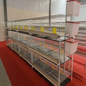 3 Tiers A-Type Layer Chicken Cage <strong>Galvanized</strong> Wire Poultry Cage with Automatic <strong>Watering</strong> &amp; Feeding <strong>Trough</strong> for Egg Laying Hens - Product Image 6