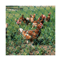 Filet pour protéger les plantes et les arbres fruitiers, jeu robuste, filet tissé, protection contre les rongeurs, oiseaux, cerf, volaille, poulet, poulailler, jardin