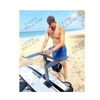 Planche de surf électrique logo personnalisé, vente en gros