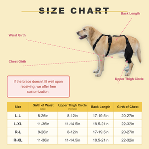 Attelle de genou réglable en néoprène pour chien avec stabilisateur à charnière et boucle rapide pour la laminité de la patte arrière et la récupération post-opératoire - Product Image 4