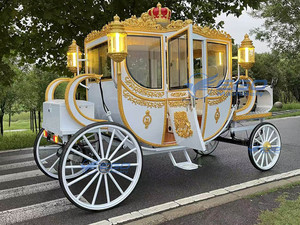 Depósito para Carruaje Turístico con Vistas Panorámicas al Aire Libre, Transporte Especial en Carruaje de Caballos - Product Image 1