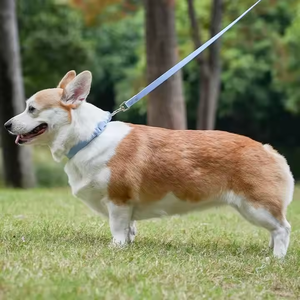 Grosir kerah anjing peliharaan empuk tahan air PVC modis warna Macaron - Product Image 6
