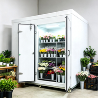 Chambre froide cryogénique de congélation rapide pour la transformation et le stockage des aliments, y compris la crème glacée, à usage commercial