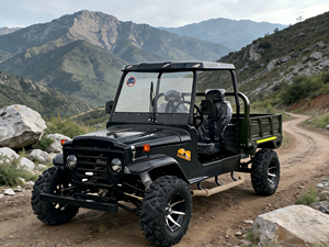 รถจี๊ป ATV UTV 250 ซีซี 400 ซีซี 2WD 4WD ออฟโรด เบนซิน ปี 2026 สำหรับผู้ใหญ่ 4 ที่นั่ง ประหยัดน้ำมัน ความเร็วสูง เชื่อถือได้ - Product Image 1