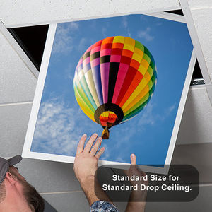 Bbier lõm dẫn bảng điều chỉnh thay đổi độ sáng mỏng xuống bầu trời xanh đám mây Skylight Bảng điều chỉnh ánh sáng Trần khuếch tán nhựa bao gồm thay thế - Product Image 5