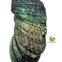 Coquille d'ormeau polie du Vietnam, écologique, naturelle, faite à la main, souvenir moderne en coquillage
