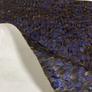 <span class=keywords><strong>Papier</strong></span> <span class=keywords><strong>peint</strong></span> Zhenling haut <span class=keywords><strong>de</strong></span> gamme à motifs <span class=keywords><strong>de</strong></span> plumes <span class=keywords><strong>de</strong></span> <span class=keywords><strong>paon</strong></span> colorées, <span class=keywords><strong>papier</strong></span> <span class=keywords><strong>peint</strong></span> attrayant à motifs <span class=keywords><strong>de</strong></span> plumes <span class=keywords><strong>de</strong></span> <span class=keywords><strong>paon</strong></span> - Product Image 2