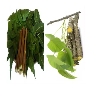 Poudre d'herbes Neem Giloy de haute qualité, fourniture d'usine, ingrédient ayurvédique naturel pour la vente en gros - Product Image 2