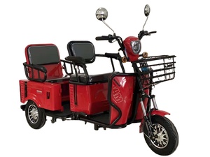 Triciclo Eléctrico Económico para Adultos con Discapacidad con Batería de Plomo-Ácido - Product Image 2