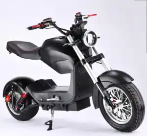 2000w 1500w 60v 20ah batteria al litio rimovibile Veloce Grasso di Ricambio Ruota Adulto citycoco scooter elettrico con sedile