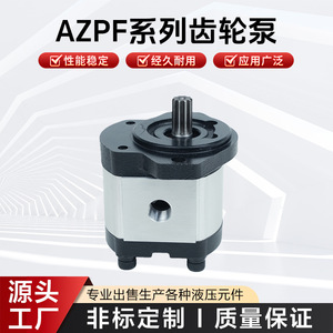 Pompe à engrenages Azpf, pompe hydraulique électrique haute pression, série du fabricant d'origine - Product Image 5