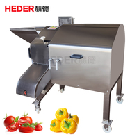 Fruit- en groentesnijmachine, aardappelblokjes productielijn, gesneden aardappelen, bamboescheuten, appels, wortelen, knoflook, chilipepers