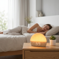 Machine sonore ultime, lumière de réveil centrée sur l'utilisateur avec simulateur RVB technologique, système d'alarme fiable pour la chambre d'enfant