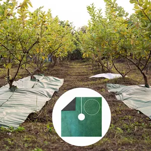 Ağaçlar için UV dayanıklı 1.2m x 1.2m zemin kaplama malç tarım filmi dokunmamış yeşil siyah plastik malç