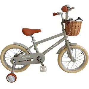 Avrupa kentsel prens bisiklet (FP-BMX2303)