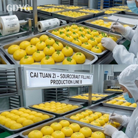 Traditioneller Authentischer Gefrorener Gemüse-Snack, Verzehrfertig, Premium Großhandel, Mikrowellengegart, Chinesische Gedämpfte Gemüse-Mais-Brötchen