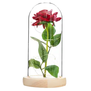 Rose Glass LED Lights Beauty and the Beast Rose Wholesale Preserved Eternal Roses in Glass Dome Valentines's Day Gift