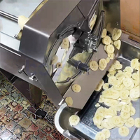 Machine à Trancher les Bananes et Pommes de Terre, Trancheuse Industrielle pour Chips de Banane et Plantain