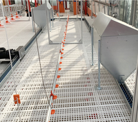 Plancher en plastique pour abri de chèvre, système de plancher à lattes en plastique pour porcs, taille 1200-500 mm