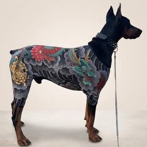 Mono elástico <span class=keywords><strong>de</strong></span> cuerpo completo para perros con estampado <span class=keywords><strong>de</strong></span> dragón estilo tatuaje japonés, ideal para paseos al aire libre <span class=keywords><strong>de</strong></span> <span class=keywords><strong>razas</strong></span> medianas y grandes. - Product Image 4
