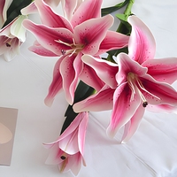 Doppelblüten Handgefertigte Künstliche Lilien Plastikschaum Moderne Blumenarrangements Rosa Weißer Blumenstrauß für Hochzeiten