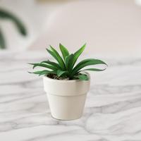 M62444 Pot de fleurs rond nordique de grand diamètre pour plantes succulentes, moule en silicone pour pot en ciment et résine de gypse