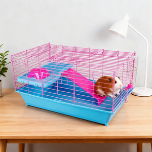 Kit de <span class=keywords><strong>d</strong></span>émarrage pour <span class=keywords><strong>cochon</strong></span> <span class=keywords><strong>d</strong></span>'<span class=keywords><strong>inde</strong></span> bleu et rose <span class=keywords><strong>d</strong></span>'intérieur <span class=keywords><strong>Cage</strong></span> Habitat avec bol de cachette et accessoires de bouteille inclus - Product Image 2