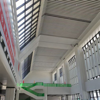 Solution unique et moderne pour les systèmes de façades extérieures Murs rideaux décoratifs en aluminium à panneaux perforés