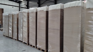 High Brightness 92-94 Double Sided PE Coated Food Grade Paper Cup <b>Sheet</b> For Offset Printing coated paper cup - Product Image 6
