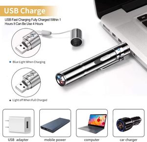 Puntero Láser Recargable de Acero Inoxidable 303 Clásico de Largo Alcance con 7 Patrones Ajustables para Gatos - Product Image 4