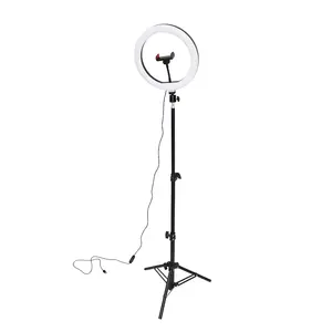 CE/ROHS/FCC Approved Abs Photographic Lighting 10 inch 26cm 120pcs LED beads Selfie Ring Light With Tripod Stand