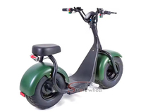 Brésil Citycoco Scooter Citycoco Batterie Citycoco Chargeur Citycoco 1000W 60v 12ah Batterie Moto Électrique