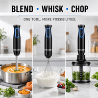 Blender Tangan Elektrik dengan Layar LED, Kontrol Tombol, Motor DC, Fungsi Turbo Kecepatan Variabel, dan Poros Baja Tahan Karat