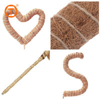 Piquet de support flexible en fibre de coco Moosstange pour plantes grimpantes, tuteur pliable en mousse pour tomates et Monstera