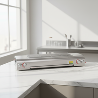 Gril à gaz commercial sans fumée en acier inoxydable robuste pour stand de marché nocturne, idéal pour les brochettes, les huîtres et la cuisson du gluten