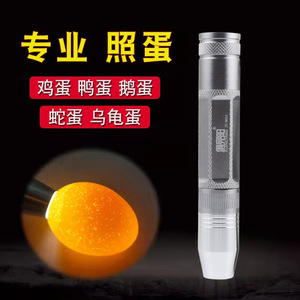 ไฟฉายปากกา ไฟ LED สำหรับงานอุตสาหกรรม สแตนเลสขัดเงา โหมดฟลัดไลท์ ใช้แบตเตอรี่แห้ง - Product Image 1